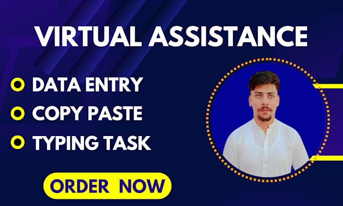 Gig Preview - Be your virtual assistance for data entry