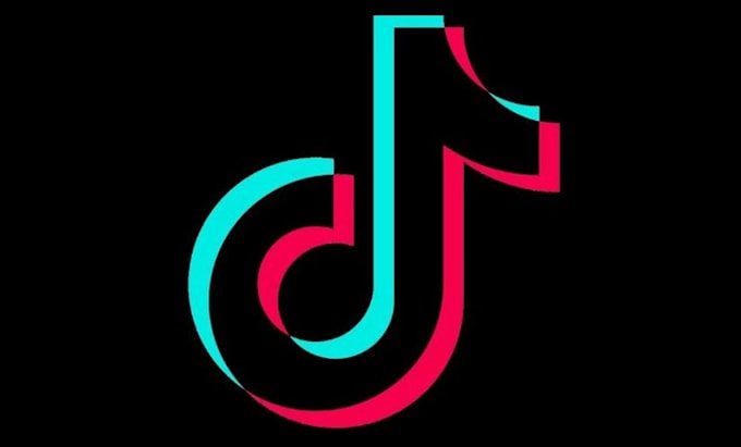 Gig Preview - Grow and promote your tiktok account organically