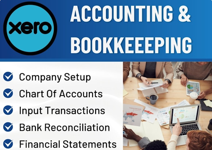 Gig Preview - Provide expert xero accounting services