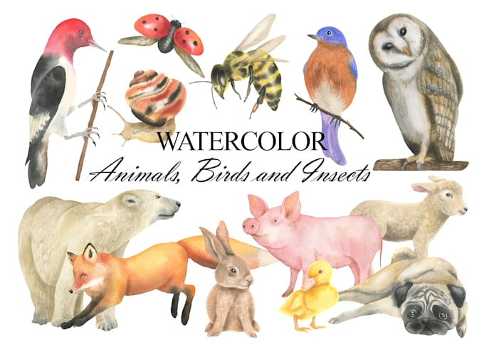 Gig Preview - Create watercolor animals, birds and insects