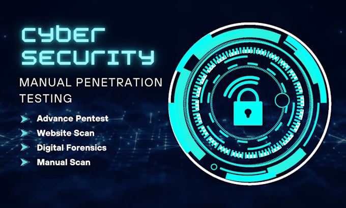 Gig Preview - Do manual penetration testing