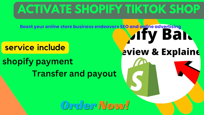 Gig Preview - Create and integrate tiktok shop to your shopify