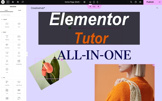 Gig Preview - Be your wordpress and elementor tutor