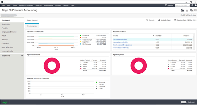 Gig Preview - Do accounting services using sage 50, xero, and sap fico