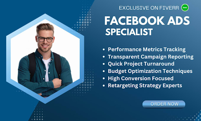 Gig Preview - Setup and manage your facebook ads and marketing campaigns