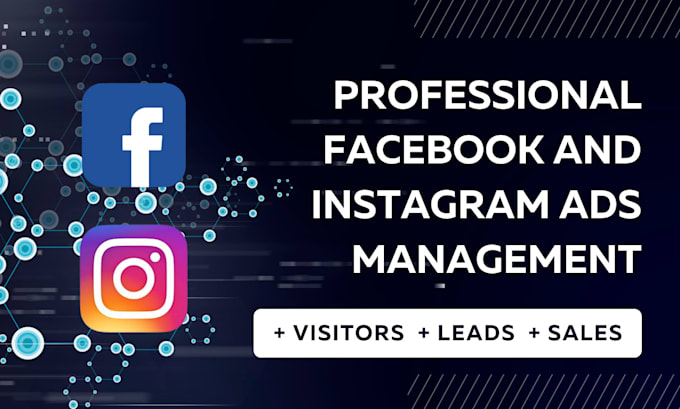 Gig Preview - Do professional facebook ads and instagram ads management