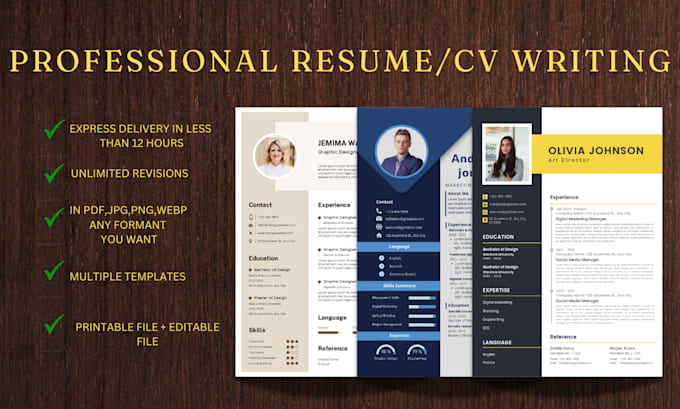 Gig Preview - Do executive resume writing and design a professional resume