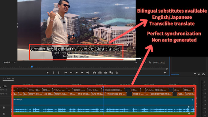 Gig Preview - Provide japanese or english subtitles for your video in 24h