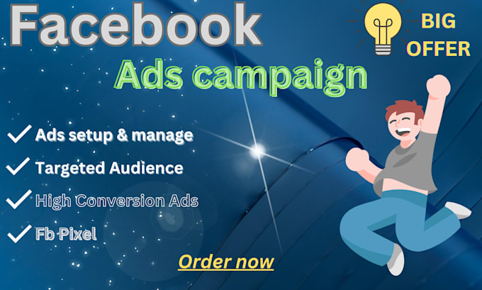 Gig Preview - Be setup and manage your facebook ads campaign