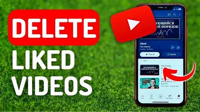 Gig Preview - Delete unwanted yoube video and remove a bad youtube channel