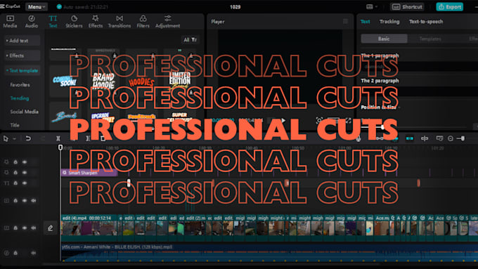 Gig Preview - Do professional video editing for every neche