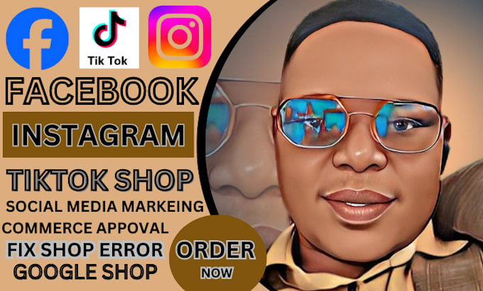 Gig Preview - Setup facebook shop, tiktok shop, boost shopify sales, instagram shop tiktok ads