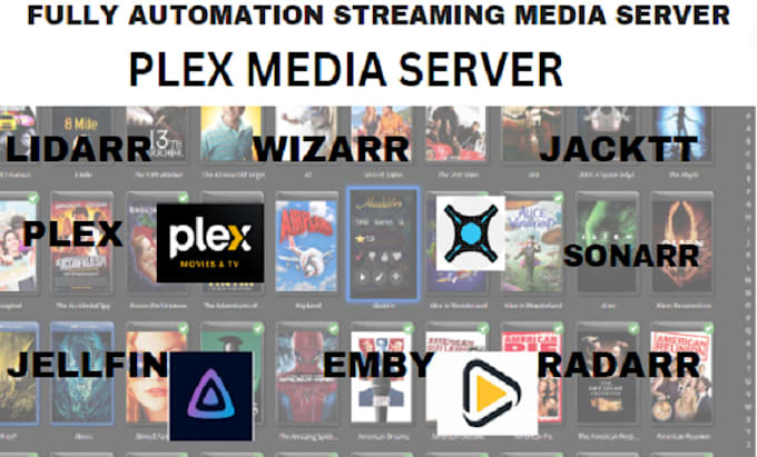 Gig Preview - Setup, configure plex ,emby, jellyfin and automate on vps, windows and linux