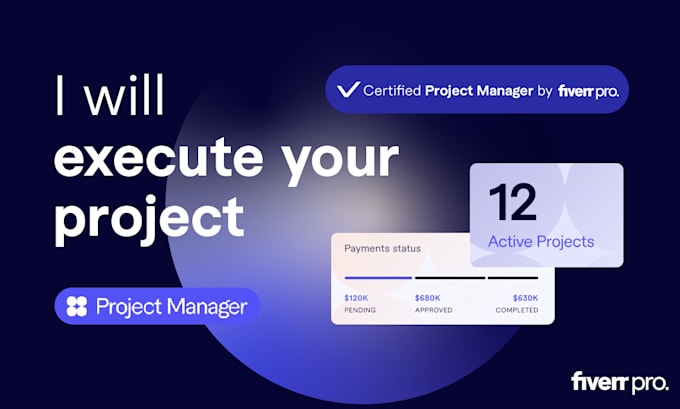 Gig Preview - Execute your project as certified project manager by fiverr