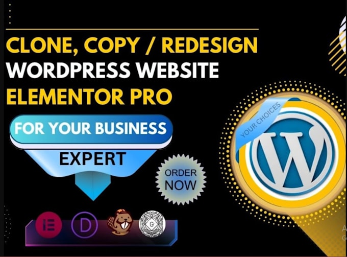 Gig Preview - Redesign copy clone duplicate customize, wordpress website, using elementor pro