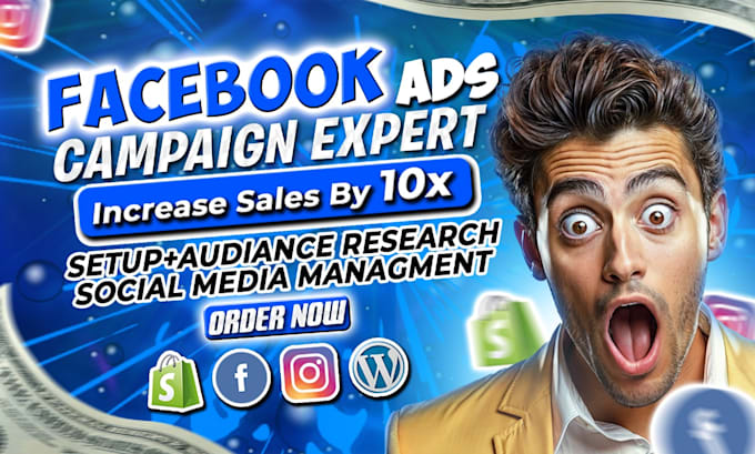 Gig Preview - Setup facebook and instagram ads campaign, manage meta ads