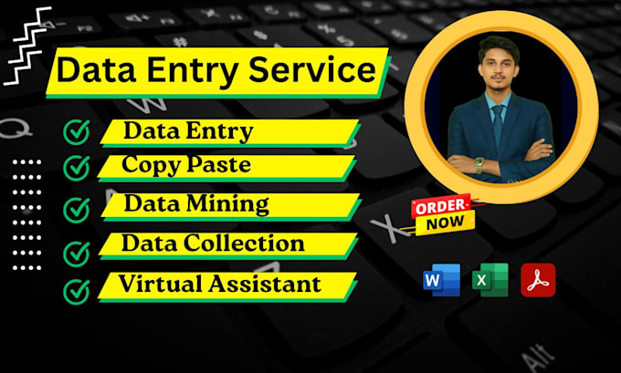 Gig Preview - Be your virtual assistant for data entry, copy paste, web research, data mining