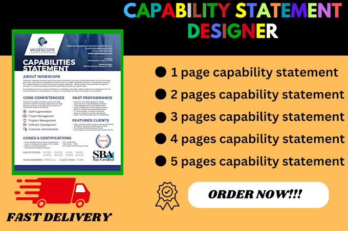 Gig Preview - Design unique government, capability statement and business capability statement