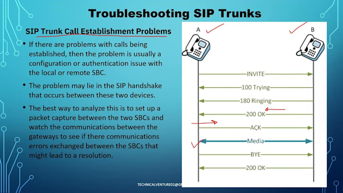 Gig Preview - Create sip trunk configuration, sproof api, bulk sms,  call