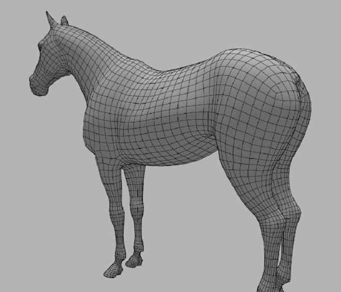 Gig Preview - Do horse animal model