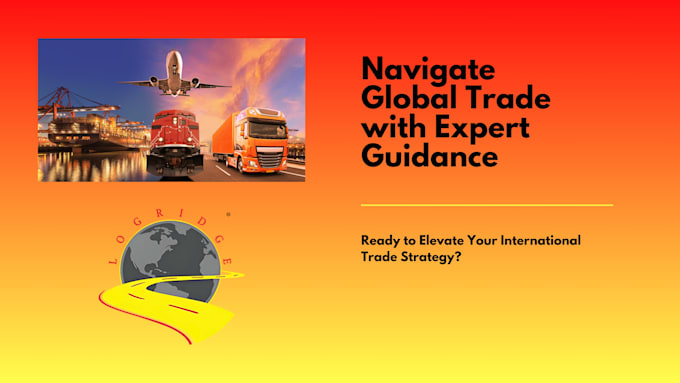 Gig Preview - Simplify global trade and boost your international business success