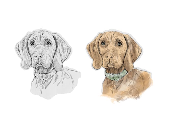 Gig Preview - Draw expressive pet portraits