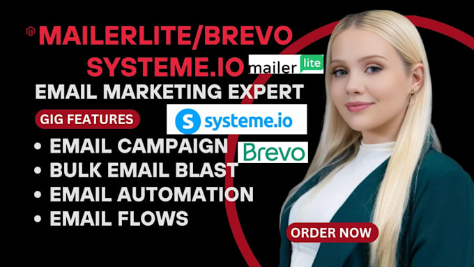 Gig Preview - Do brevo, systeme io, mailerlite, bulk email campaign blast and email automation