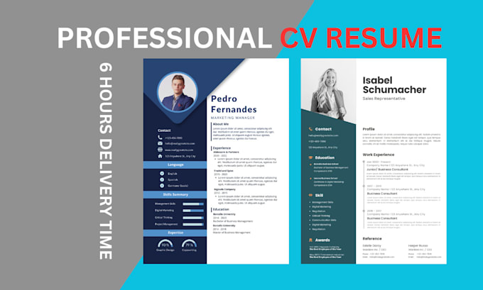 Gig Preview - Make professional cv resume maker writing build update create tech sales design