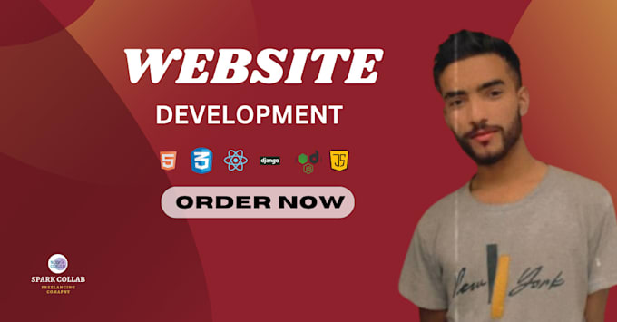 Gig Preview - Create a stunning website  full website development service