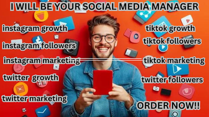 Gig Preview - Manage and grow your twitter x tiktok instagram facebook followers organically