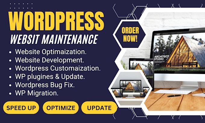 Gig Preview - Do maintenance, updates and bug fix for your wordpress site