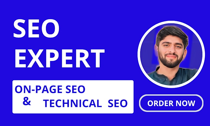 Gig Preview - Do on page and technical SEO through website analysis