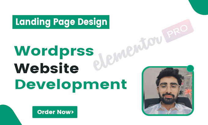 Gig Preview - Do wordpress website development, design or redesign elementor landing page