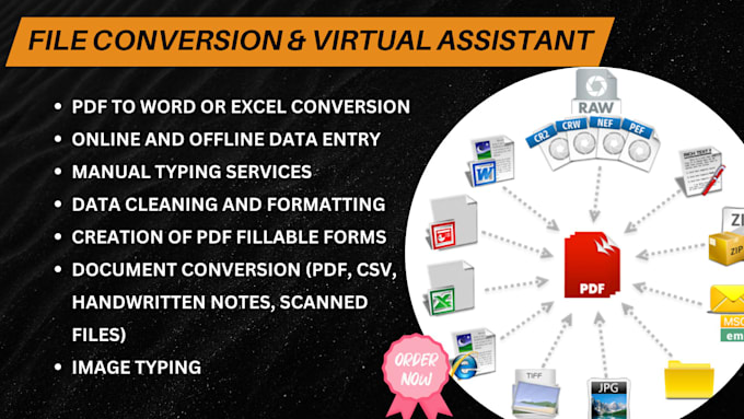 Gig Preview - Convert PDF to excel, PDF to word, or do data entry tasks