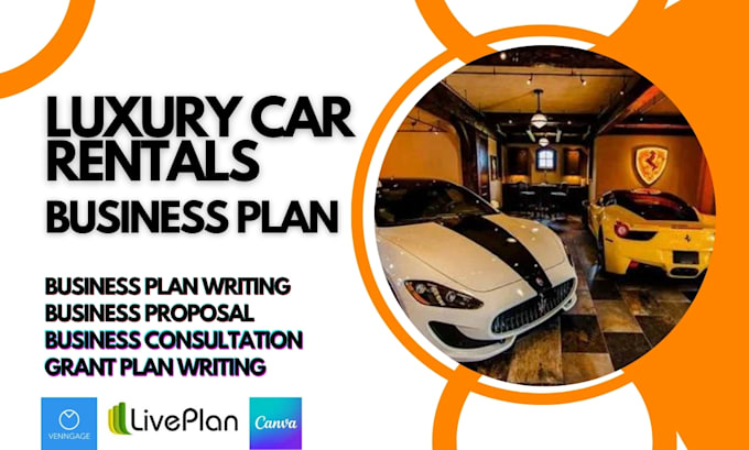 Gig Preview - Craft an investor ready luxury car rentals business plan for texas USA