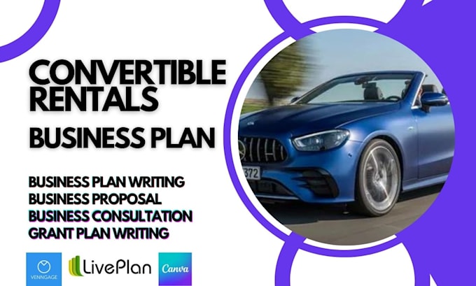 Gig Preview - Craft an investor ready convertible rental business plan for amalfi coast