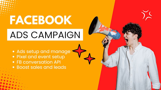 Gig Preview - L do professional facebook ads campaign for business