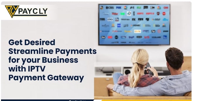 Gig Preview - Create iptv payment gateway,payment processor to receive payments