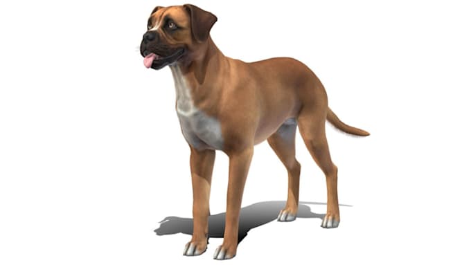 Bestseller - do dog logo, 3d dog modeling, dog model, pet modeling and 3d animal model