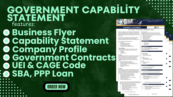 Gig Preview - Design federal government capability statement for business government contract