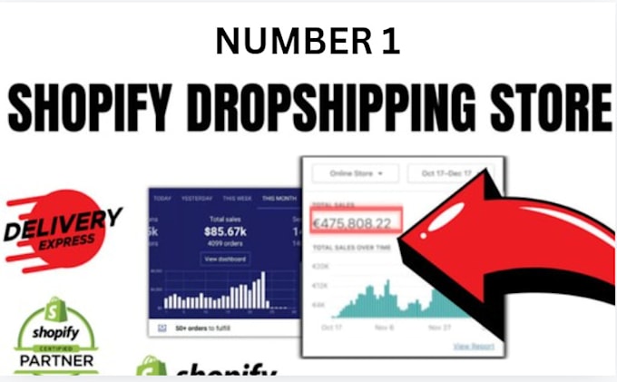 Gig Preview - Build a dropshipping store for you