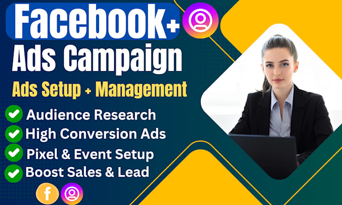 Gig Preview - The setup of facebook ads and instagram ads campaigns