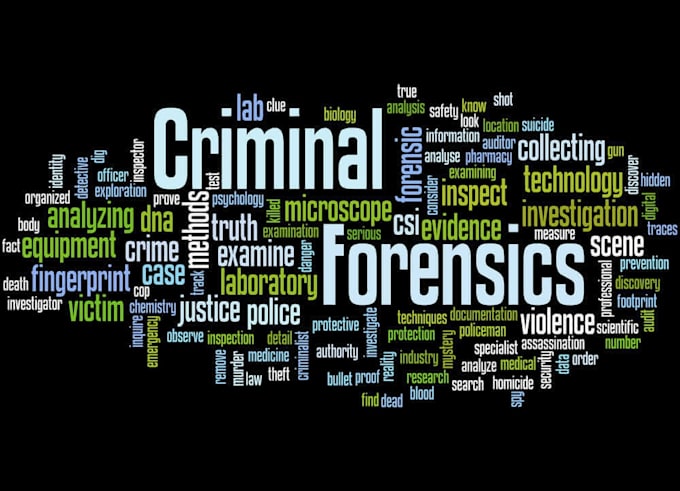 Gig Preview - Do your criminal justice and correctional services research