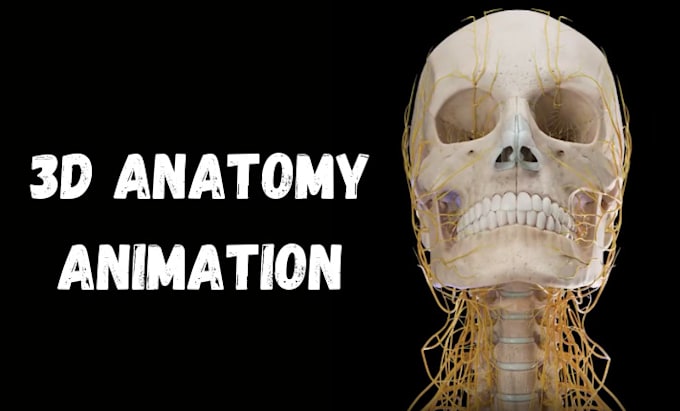 Gig Preview - Do high quality 3d medical animation, anatomy animation, surgery animation