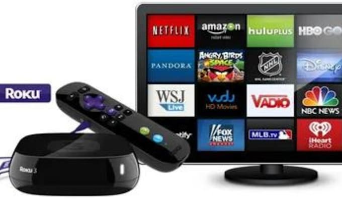 Gig Preview - Develop a professional roku channel