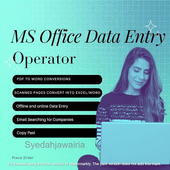 Gig Preview - Be your professional ms office data entry operator