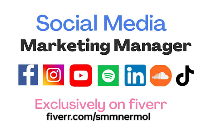 Gig Preview - Be your social media marketing manager and content creator