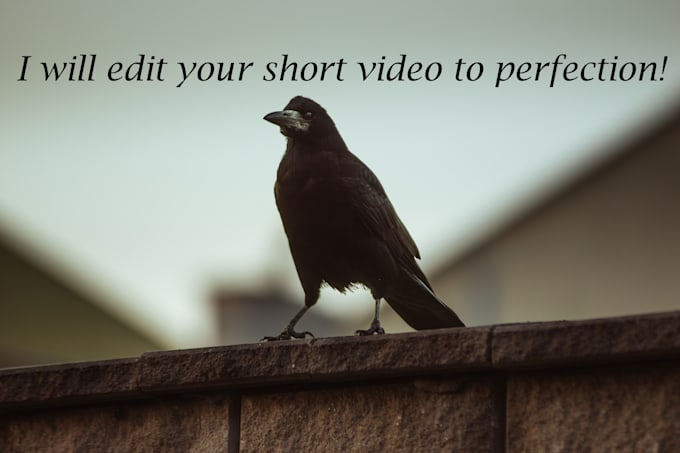 Bestseller - edit your short format video