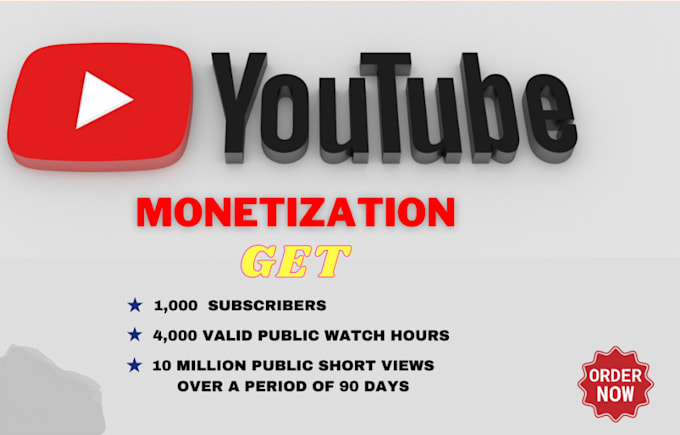 Gig Preview - Promote your youtube video and channel  with monetization