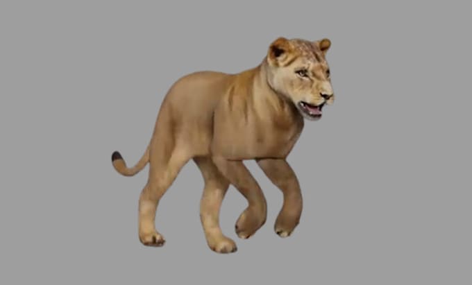 Bestseller - do 3d animal model, 3d animal animation, cgi 3d animal rigging and 3d model